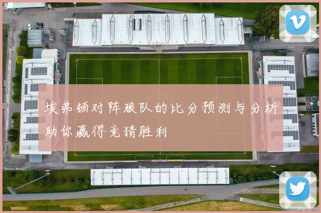 埃弗顿对阵狼队的比分预测与分析助你赢得竞猜胜利