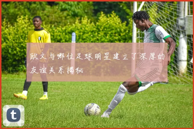 欧文与哪位足球明星建立了深厚的友谊关系揭秘